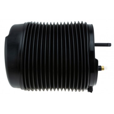 Amortisseur Pneumatique Arrière Droit Pour Volvo V90 II Xc60 II Xc90 II 31360714