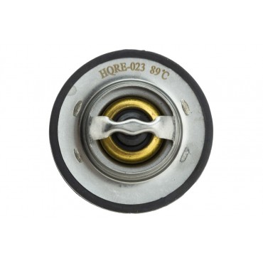 Thermostat d'Eau Liquide Refroidissement Pour Dacia Duster Logan 7700872554