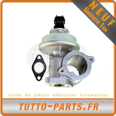 Vanne EGR Ford Mondeo Transit Jaguar