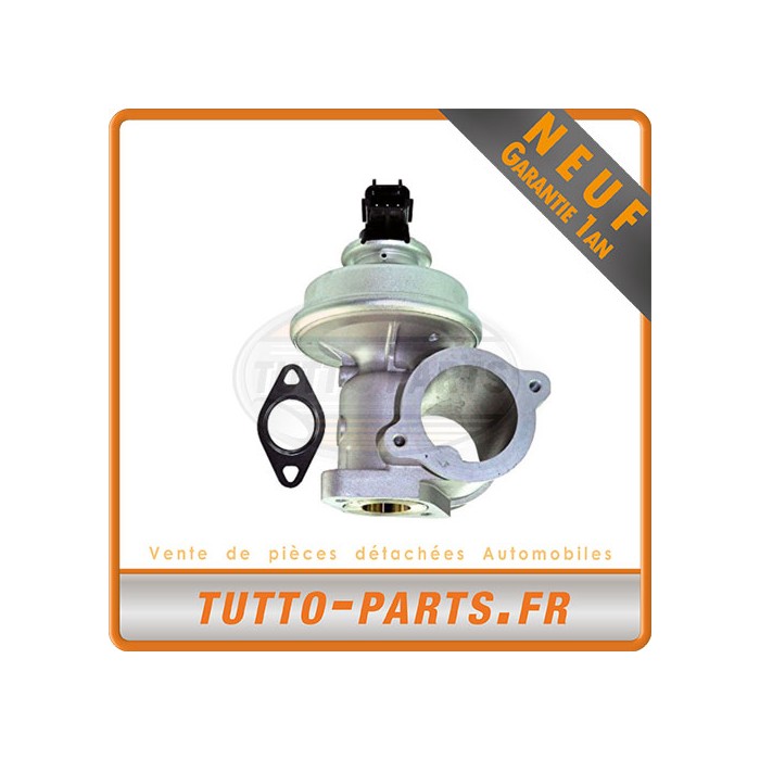 Vanne EGR Ford Mondeo Transit Jaguar