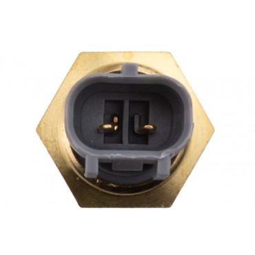 Capteur de Température d'Air d'Admission Pour Land Cruiser Hilux 8942460010