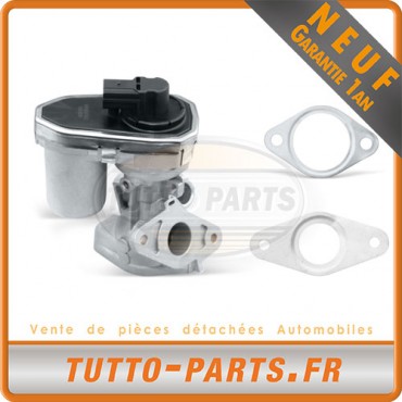 Vanne EGR Fiat Ducato Land Rover Defender