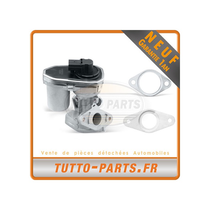 Vanne EGR Fiat Ducato Land Rover Defender