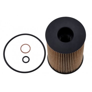 Filtre à Huile Pour Bmw Série 5 6 7 8 X5 E70 X6 X7 11427583220 11427600089