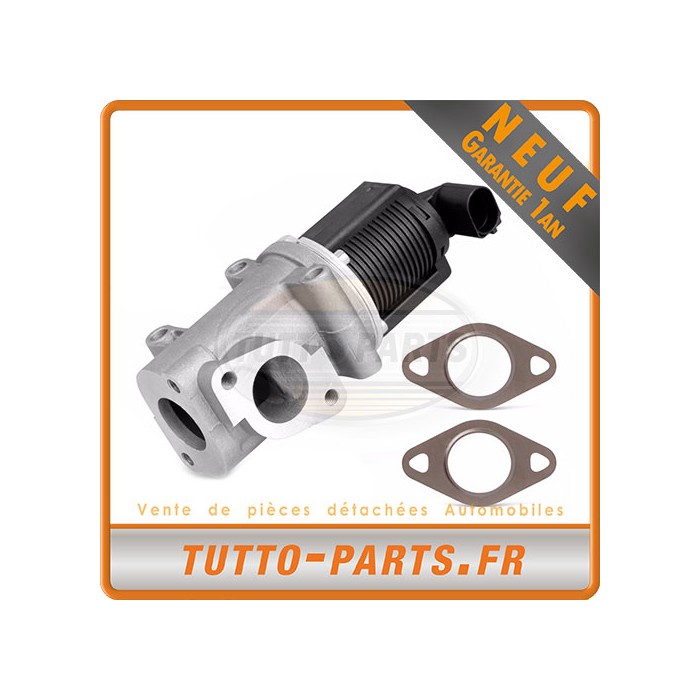Vanne EGR Opel Astra Vectra Zafira Saab 9-3 9-5 Fiat Alfa