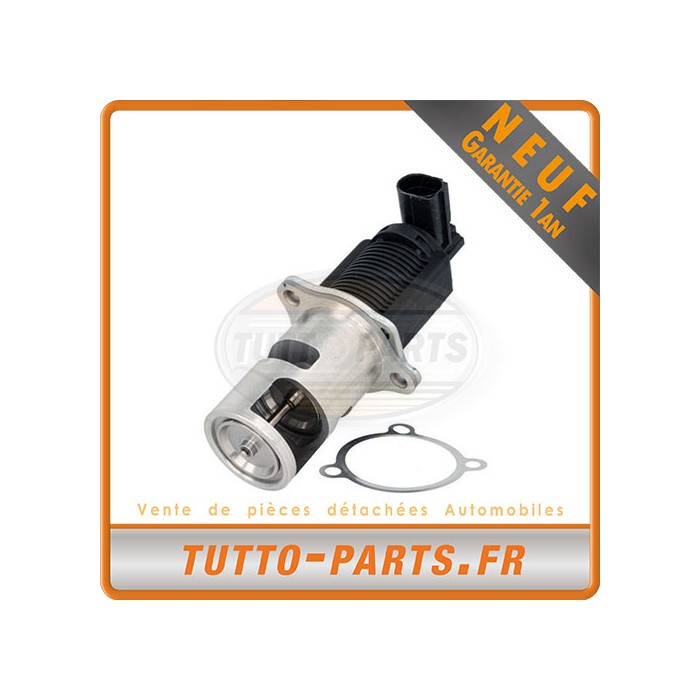 Vanne EGR Nissan Primera Renault Megane