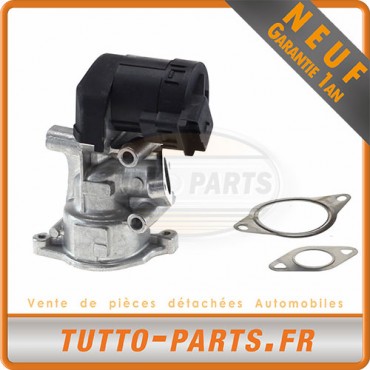 Vanne EGR Ford Focus Fiat Volvo