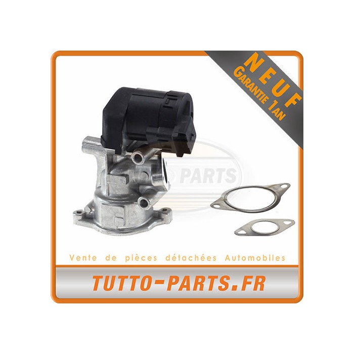 Vanne EGR Ford Focus Fiat Volvo