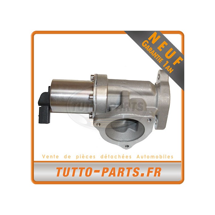 Vanne EGR Kia Hyundai