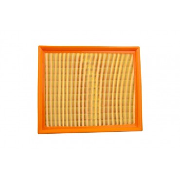 Filtre à Air Pour Renault Clio II Espace IV Laguna I II Vel Satis 165466878R