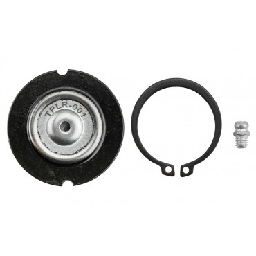 Rotule de Suspension Avant Supérieur Pour Land Rover Discovery III IV RBJ500221