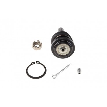 Rotule de Suspension Avant Supérieur Pour Lexus Gs Is I III Is 4861029055