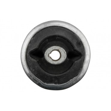 Silent Bloc de Bras de Suspension inférieur Pour Jaguar X-Type I C2S46697