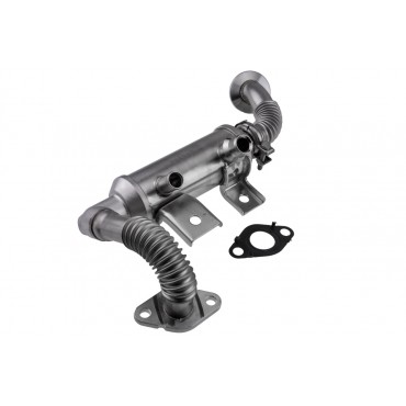 Refroidisseur de Vanne EGR Pour Ford Tourneo Connect Transit Connect 1700025