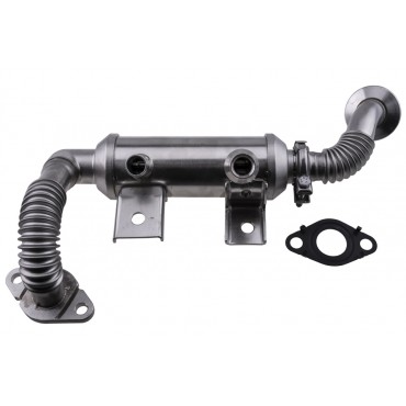 Refroidisseur de Vanne EGR Pour Ford Tourneo Connect Transit Connect 1700025