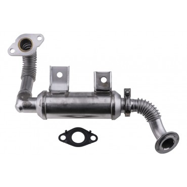 Refroidisseur de Vanne EGR Pour Ford Tourneo Connect Transit Connect 1700025