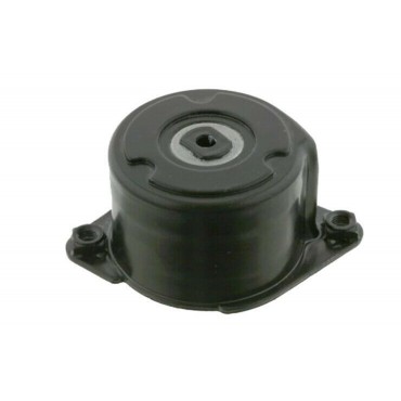 Galet Tendeur de courroie...