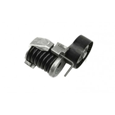 Galet Tendeur de courroie...