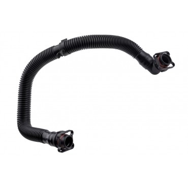 Tuyau Carter Purge Pour Audi A3 A4 A6 Tt Vw Passat Jetta III Golf V 06F103235A