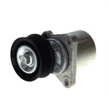 Galet Tendeur de courroie...