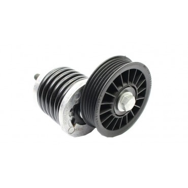 Galet Tendeur de courroie...