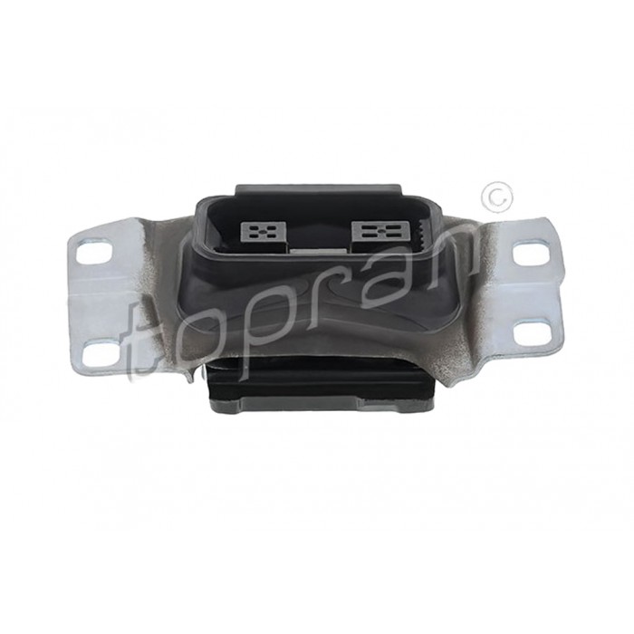 Support de Boite de Vitesses Pour Ford C-Max II Focus III 1690298 1801350