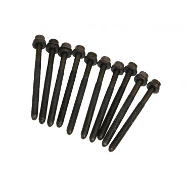 10 Vis de Culasse Pour Audi A3 A4 Seat Toledo II III Leon Ibiza II 06A103384CS
