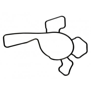 Joint de Pompe à Eau Pour Opel Astra G Corsa B C Vauxhall Agila Mk I 90570204