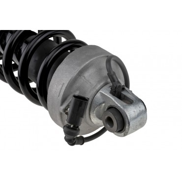 Amortisseur Arrière Gauche Pour Audi R8 2007-2015 420512019AM