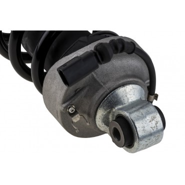 Amortisseur Arrière Droit Pour Audi R8 2007-2015 420512020AM