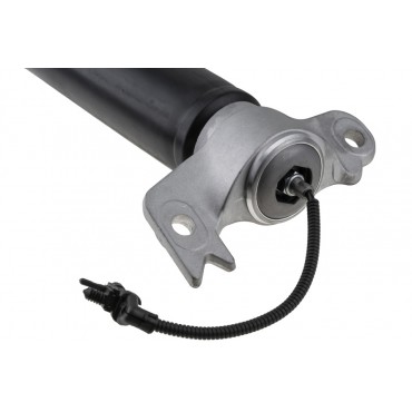 Amortisseur Arrière Droit Pour Cadillac Xts 2011-2014 20903683 84326294
