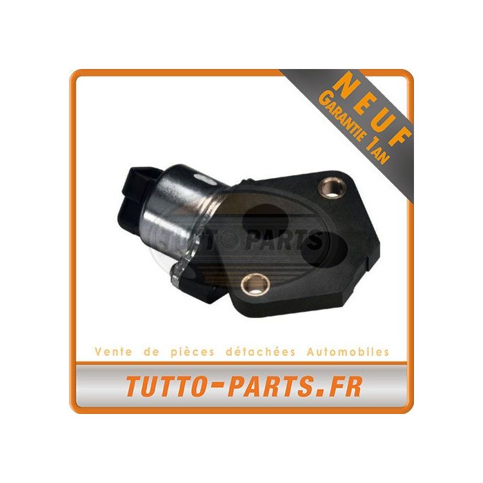 Regulateur Ralenti Ford Fiesta Ka