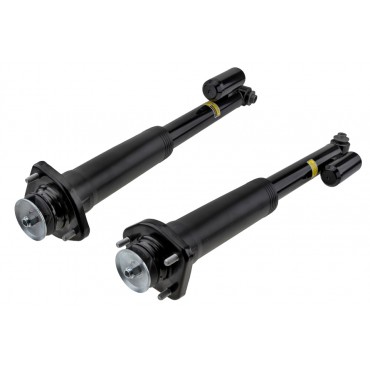 x2 Amortisseur Arrière Gauche+Droit Pour Land Rover Range Rover III LR020529