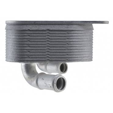 Radiateur d'Huile Boite Auto Pour Seat Alhambra Vw Tiguan Sharan BH317019