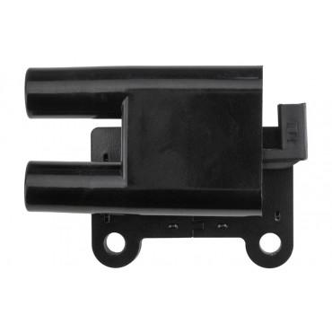 Bobine d'Allumage Pour Hyundai Getz Kia Picanto I 2730102100 2731002611