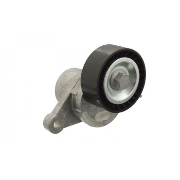 Galet Tendeur de courroie...