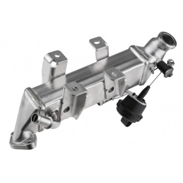 Vanne EGR avec Refroidisseur Pour Nissan Nv400 Qashqai X-Trail II 93168410