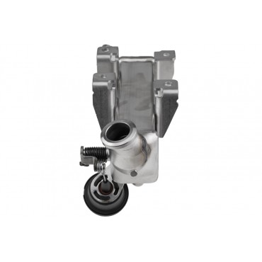 Vanne EGR avec Refroidisseur Pour Nissan Nv400 Qashqai X-Trail II 93168410