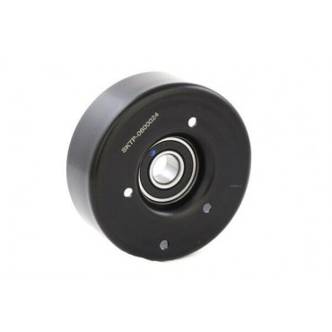 Galet Tendeur de courroie...