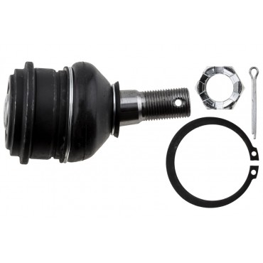 Rotule de Suspension Avant Inférieur Pour Nissan Navara Np300 Pickup 545022S400