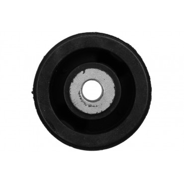 Silent Bloc Bras de Suspension Arrière Pour Porsche Panamera 97033104102