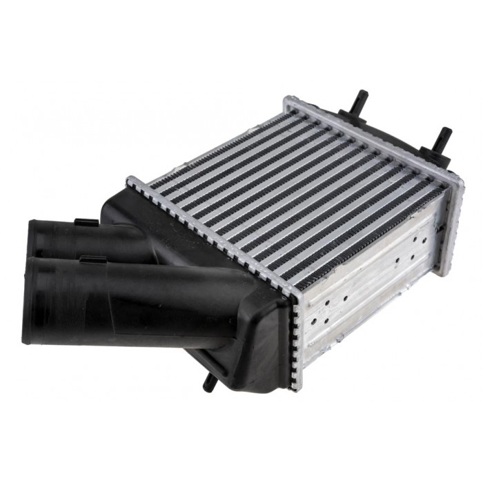 Intercooler échangeur d'Air Pour Renault Megane I Megane Scénic I 7700838130