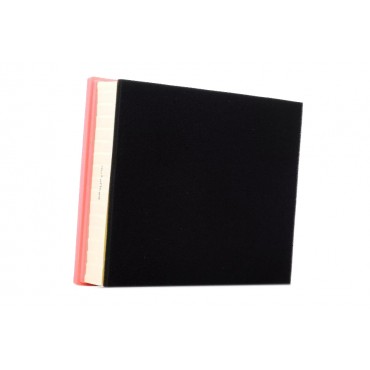 Filtre à Air Pour Vw Amarok 2.0 BiTDI TDI TSI 3.0 TDI 2H0129620A 2H0129620D