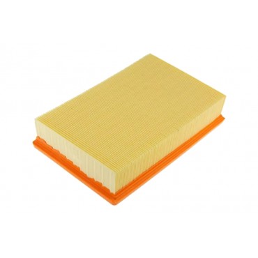 Filtre à Air Pour Ford Transit 2.0 DI TDCi 2.2 TDCi 2.3 2.4 DI 4041615 1900519