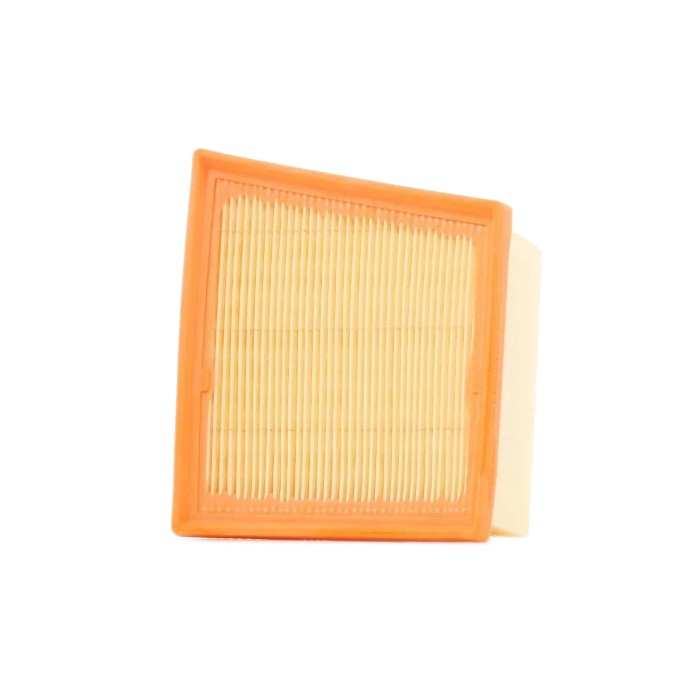 Filtre à Air Pour Ford B-Max Ecosport Fiesta Transit Courier Mazda 2 8V219601AA