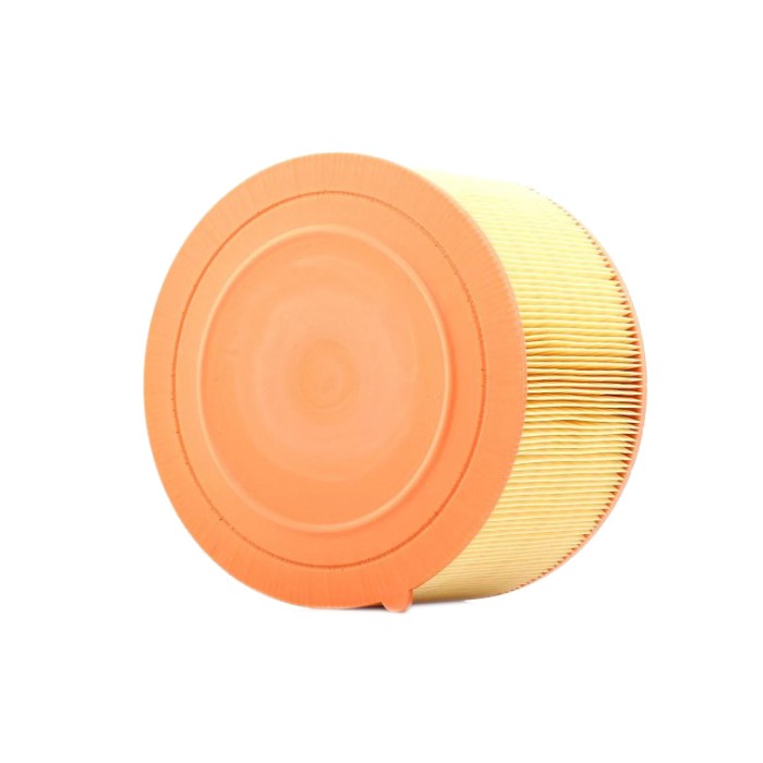 Filtre à Air Pour Ford Ranger 2.2 TDCi 3.2 TDCi 1921356 1720719 AB399601AD