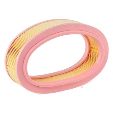 Filtre à Air Pour Dacia Logan Sandero Renault Thalia Megane Logan 7701070525