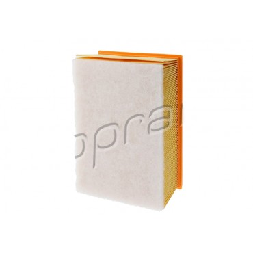 Filtre à Air Pour Citroën C4 I Peugeot 307 206 1444CE 1444W4 1420K2 1444W6