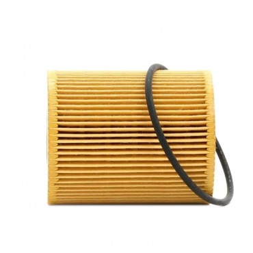 Filtre à Huile Pour Citroën C5 III C6 Land Rover Range Rover Velar 1109AV