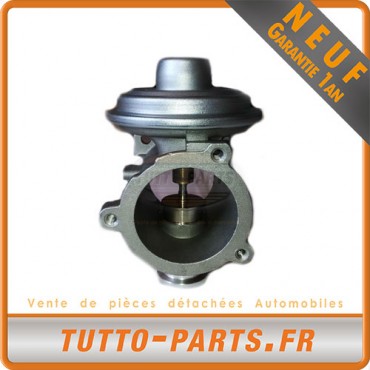 Vanne EGR BMW X3 X5 X6